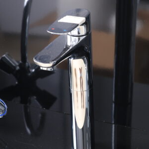 LONG NECK FAUCET