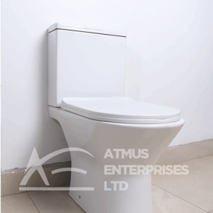 Bathroom Two Piece Wc Toilet W81217A