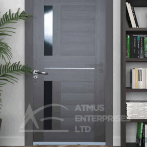 STEEL DOOR 50056 11b