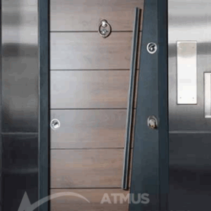 STEEL DOOR 50056 303