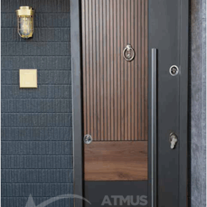 STEEL DOOR 50056 323