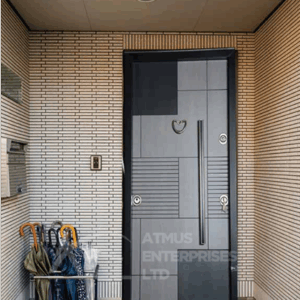 STEEL DOOR 50056 348