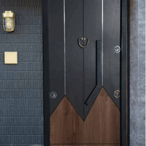 STEEL DOOR 50056 398b