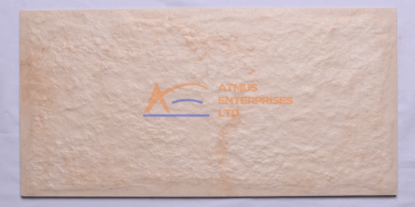 TILE 3 30cm by 60cm